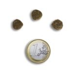 Сухий корм для молодих та дорослих стерилізованих кішок Anima з куркою - Зображення 3