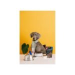 Джерки Savory Fillet Turkey With Duck, філе індички з качкою, 100 г - Зображення 6