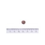 Корм сухий Brit Care Dog Sustainable Puppy для цуценят з куркою та комахами - Зображення 4