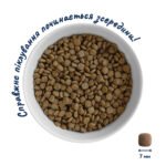 Home Food Для кошенят «Курочка з ягням» - Зображення 3