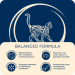 Home Food Для дорослих котів «М'ясне асорті» - Зображення 3