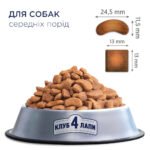 С4Р Premium сухий середні породи собак з куркою - Зображення 3