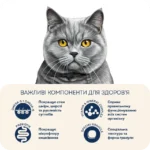 Корм для котів британської породи Home Food з індичкою та качкой - Зображення 2