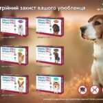 Сімпаріка ТРІО