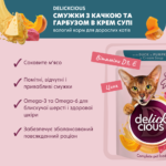 DELICKCIOUS™ "Смужки з качкою та гарбузом в крем супі". Повнораціонний консервований корм для дорослих котів - Зображення 2
