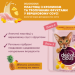 DELICKCIOUS™ "Пластівці з кроликом та тропічними фруктами у вершковому соусі". Додатковий консервований корм для дорослих котів - Зображення 2