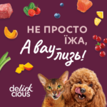 DELICKCIOUS™ "Смужки з лососем та морквою в крем супі". Повнораціонний консервований корм для дорослих собак - Зображення 5