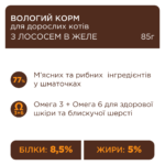 C4Р Premium пауч лосось в желе для дорослих котів - Зображення 2