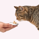 DELICKCIOUS™ кремові ласощі – ягня з додаванням коричневого рису та цукіні. Додатковий корм для котів - Зображення 3