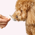 DELICKCIOUS™ кремові ласощі – з качкою та додаванням журавлини. Додатковий корм для собак - Зображення 6