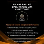 PRO PLAN® VETERINARY DIETS OM St/Ox Obesity Management. Консервований повнораціонний дієтичний корм для дорослих котів для зниження надлишкової маси тіла, зі зниженою обмінною енергією, з куркою. - Зображення 2