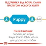 Корм для цуценят породи Чихуахуа ROYAL CANIN CHIHUAHUA PUPPY - Зображення 4
