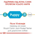 вперед  Корм для цуценят породи Джек-Рассел-тер'єр ROYAL CANIN JACK RUSSEL PUPPY 1.5 кг - Зображення 5