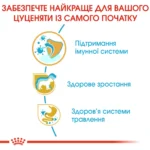 вперед  Корм для цуценят породи Джек-Рассел-тер'єр ROYAL CANIN JACK RUSSEL PUPPY 1.5 кг - Зображення 6