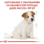 вперед  Корм для цуценят породи Джек-Рассел-тер'єр ROYAL CANIN JACK RUSSEL PUPPY 1.5 кг - Зображення 4