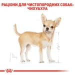Корм для дорослих собак породи Чихуахуа ROYAL CANIN CHIHUAHUA ADULT - Зображення 7