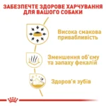 Корм для дорослих собак породи Чихуахуа ROYAL CANIN CHIHUAHUA ADULT - Зображення 5