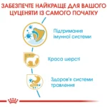 Корм для цуценят породи Йоркшир-тер'єр ROYAL CANIN YORKSHIRE PUPPY - Зображення 5