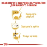 Корм для дорослих собак породи Пудель ROYAL CANIN POODLE ADULT - Зображення 4
