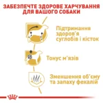 Корм для дорослих собак породи Такса ROYAL CANIN DACHSHUND ADULT - Зображення 5