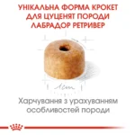 Корм для цуценят породи Лабрадор-ретривер ROYAL CANIN LABRADOR PUPPY - Зображення 6