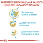 Корм для цуценят породи Лабрадор-ретривер ROYAL CANIN LABRADOR PUPPY - Зображення 5