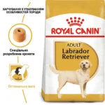 Корм для дорослих собак породи Лабрадор-ретривер ROYAL CANIN LABRADOR ADULT - Зображення 8