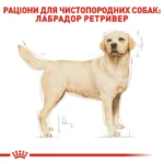 Корм для дорослих собак породи Лабрадор-ретривер ROYAL CANIN LABRADOR ADULT - Зображення 7