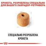 Корм для дорослих собак породи Лабрадор-ретривер ROYAL CANIN LABRADOR ADULT - Зображення 6