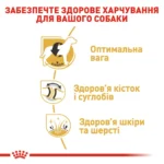 Корм для дорослих собак породи Лабрадор-ретривер ROYAL CANIN LABRADOR ADULT - Зображення 5