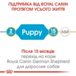 Корм для цуценят породи Німецька вівчарка ROYAL CANIN GERMAN SHEPHERD PUPPY - Зображення 4