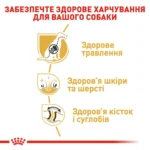 Корм для дорослих собак породи Німецька Вівчарка ROYAL CANIN GERMAN SHEPHERD ADULT 11.0 кг - Зображення 5