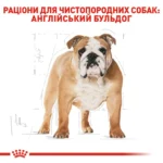 Корм для собак породи Англійський бульдог ROYAL CANIN BULLDOG ADULT - Зображення 7