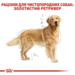 Корм для дорослих собак породи Золотистий ретривер ROYAL CANIN GOLDEN RETRIEVER ADULT 12.0 кг - Зображення 7