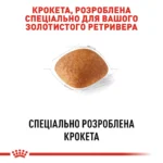 Корм для дорослих собак породи Золотистий ретривер ROYAL CANIN GOLDEN RETRIEVER ADULT 12.0 кг - Зображення 6