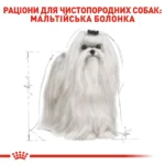 Корм для дорослих собак породи Мальтійська болонка ROYAL CANIN MALTESE ADULT - Зображення 7