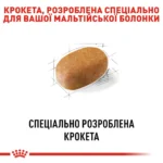 Корм для дорослих собак породи Мальтійська болонка ROYAL CANIN MALTESE ADULT - Зображення 6