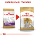 Корм для дорослих собак породи Мальтійська болонка ROYAL CANIN MALTESE ADULT - Зображення 4