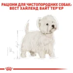 Корм для дорослих собак породи Вест-Хайленд-Уайт-тер'єр ROYAL CANIN WESTIE ADULT 3.0 кг - Зображення 7