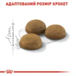 Корм для домашніх довгошерстих котів ROYAL CANIN INDOOR LONGHAIR - Зображення 3