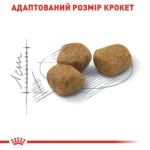 Корм для домашніх котів ROYAL CANIN INDOOR7+(від 7 років) - Зображення 3