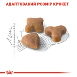 Корм для дорослих котів з чутливою травною системою ROYAL CANIN SENSIBLE - Зображення 3