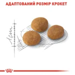 Корм для котів ROYAL CANIN EXIGENT AROMA 2.0 кг, вибагливих до аромату корму - Зображення 3