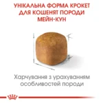 Корм для кошенят породи Мейн-Кун ROYAL CANIN MAINECOON KITTEN - Зображення 3