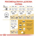 Корм для кошенят породи Мейн-Кун ROYAL CANIN MAINECOON KITTEN - Зображення 2