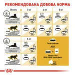 Корм для дорослих котів породи Сіамська ROYAL CANIN SIAMESE ADULT - Зображення 2