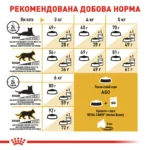 Корм для дорослих котів ROYAL CANIN SPHYNX ADULT  - Зображення 2