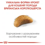 Корм для кошенят породи Британська короткошерста ROYAL CANIN KITTEN BRITISH SHORTHAIR - Зображення 3