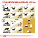Корм для дорослих котів ROYAL CANIN BRITISH SHORTHAIR ADULT  - Зображення 2