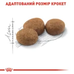 Корм для дорослих стерилізованих котів ROYAL CANIN STERILISED - Зображення 3